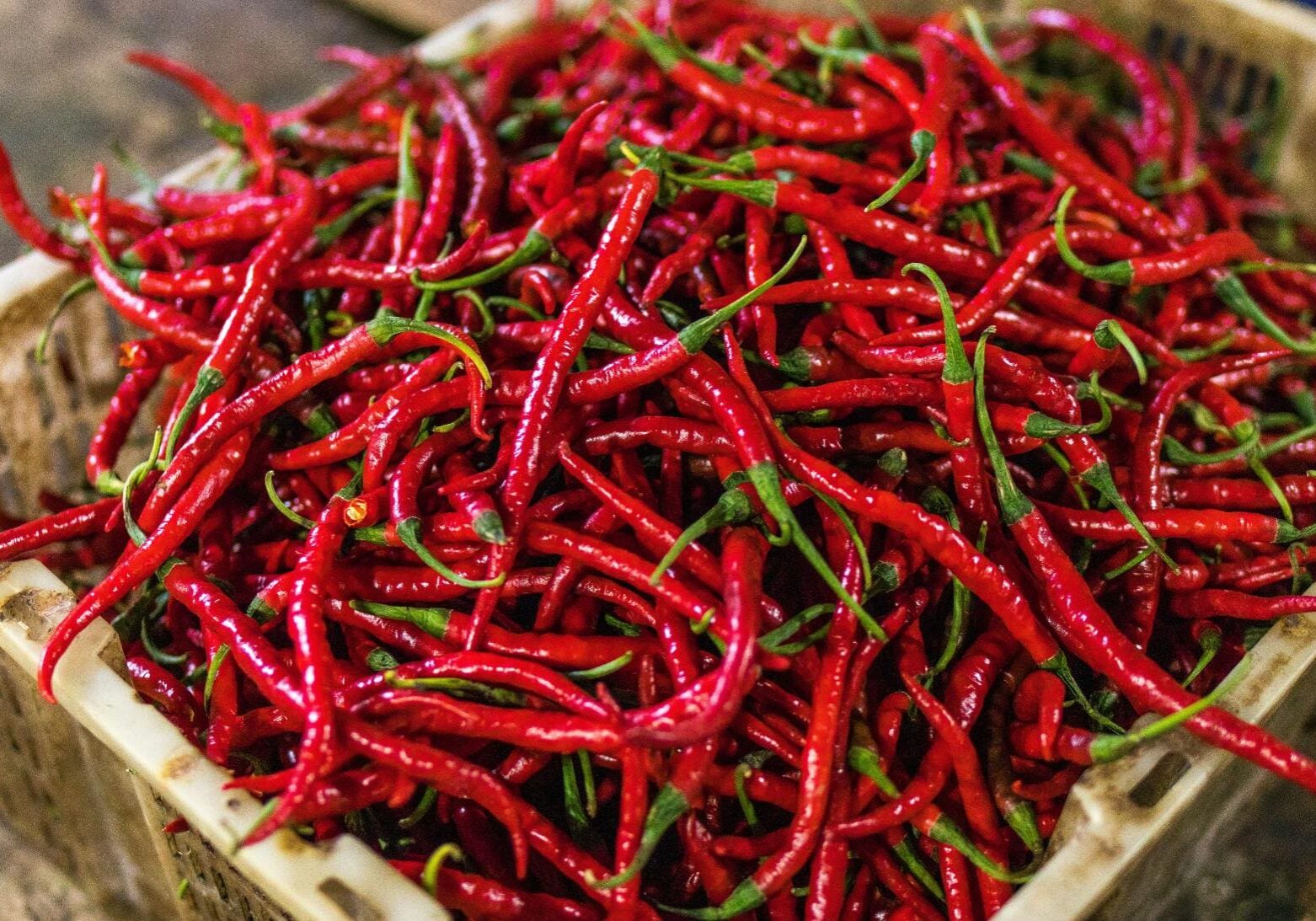 A basket filled with numerous bright red chili peppers with green stems.